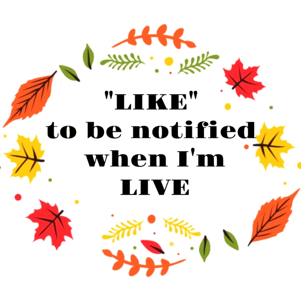 🔥🔥LIKE THIS LISTING TO BE NOTIFIED WHEN I GO LIVE🔥Unlisted items🔥